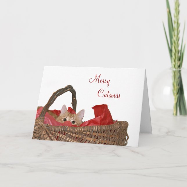 Merry Catsmas Feiertagskarte (Vorderseite)