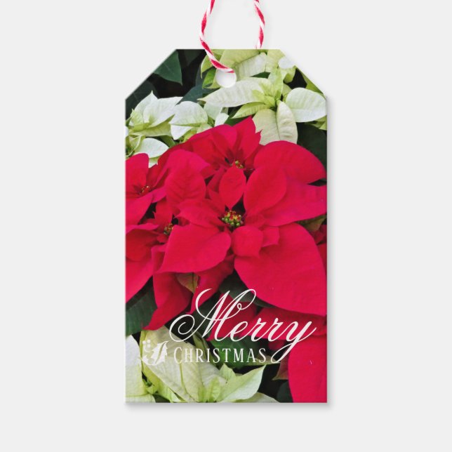 Merry Christmas ギフトタグ Geschenkanhänger (Vorderseite)