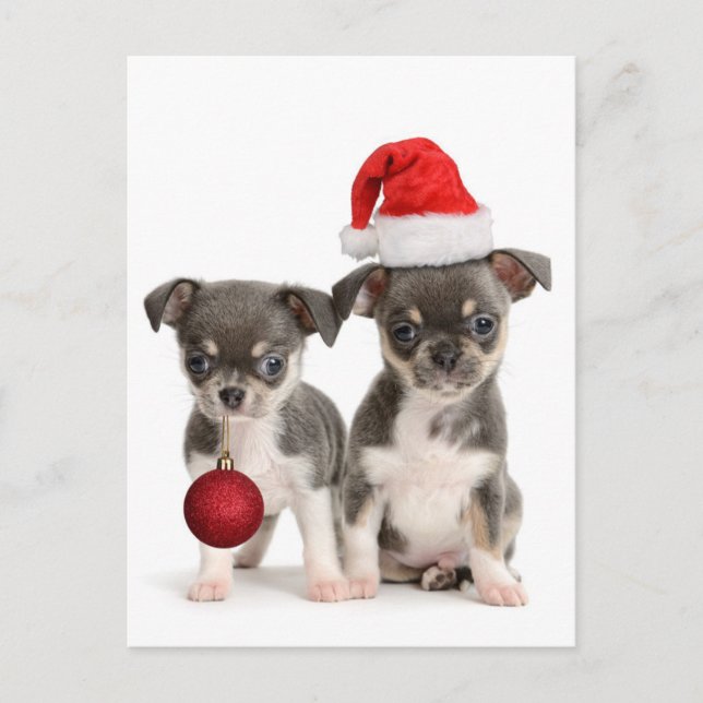 Merry Christmas And Happy New Year Feiertagspostkarte (Vorderseite)