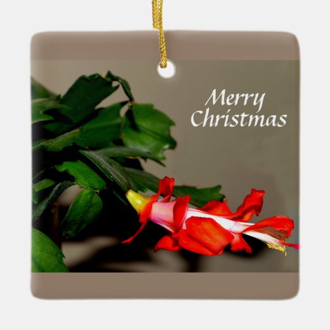 Merry Christmas Cactus Keramikornament (Vorderseite)