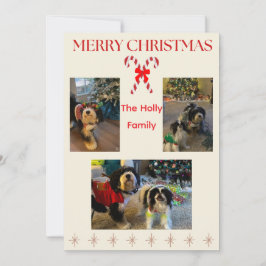 Merry Christmas Candy Cane and Twinkle Card Feiertagskarte