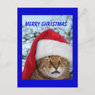 MERRY CHRISTMAS Cat Feiertagspostkarte