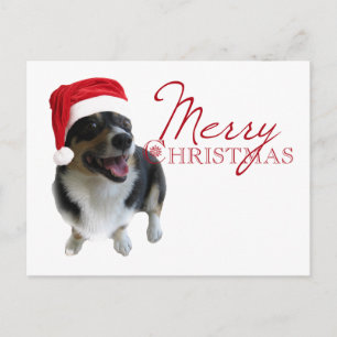 Merry Christmas Corgi Santa Feiertagspostkarte