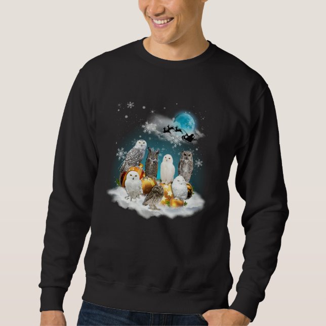 Merry Christmas Cute Owl Costume For Owl Sweatshirt (Vorderseite)
