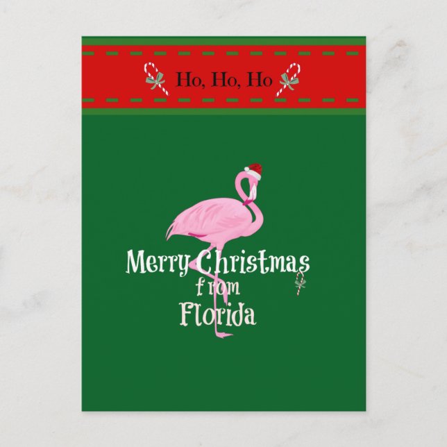 Merry Christmas from Florida Feiertagspostkarte (Vorderseite)