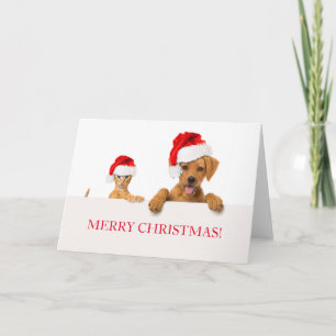 MERRY CHRISTMAS Grußkarten-Hund und CAT Karte
