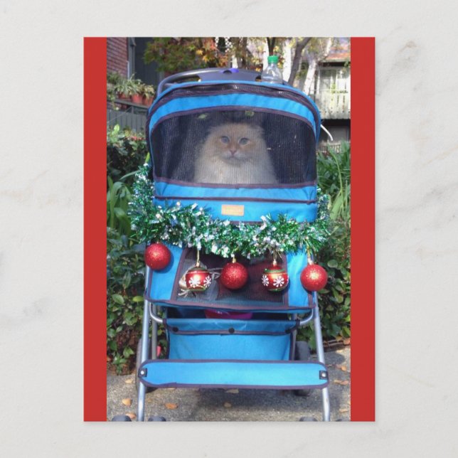 Merry Christmas & Happy New Year Postkarte (Vorderseite)