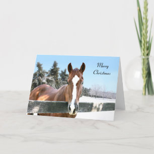 Merry Christmas horse Feiertagskarte
