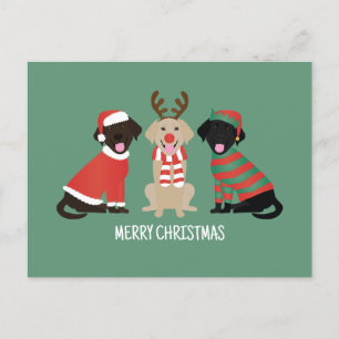 Merry Christmas Labrador Retriever Hunde Feiertagspostkarte