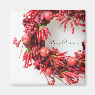 Merry Christmas. Magnets A Magnet