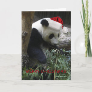 Merry Christmas Panda Happy New Year! Feiertagskarte