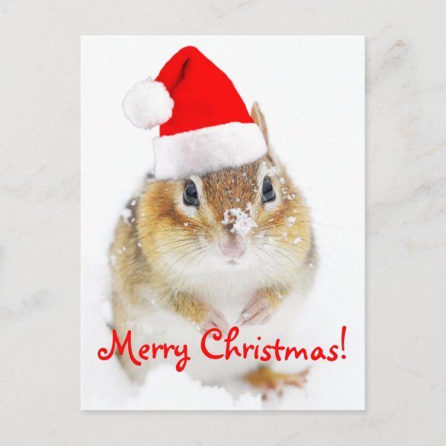 Merry Christmas Snowy Santa Chipmunk Feiertagspostkarte (Vorderseite)