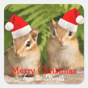 Merry Christmas Square Labels mit Baby Chipmunks Quadratischer Aufkleber