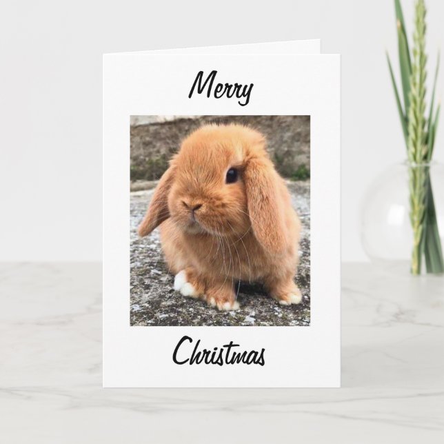 **MERRY CHRISTMAS** vom "EASTER BUNNY" Feiertagskarte (Vorderseite)