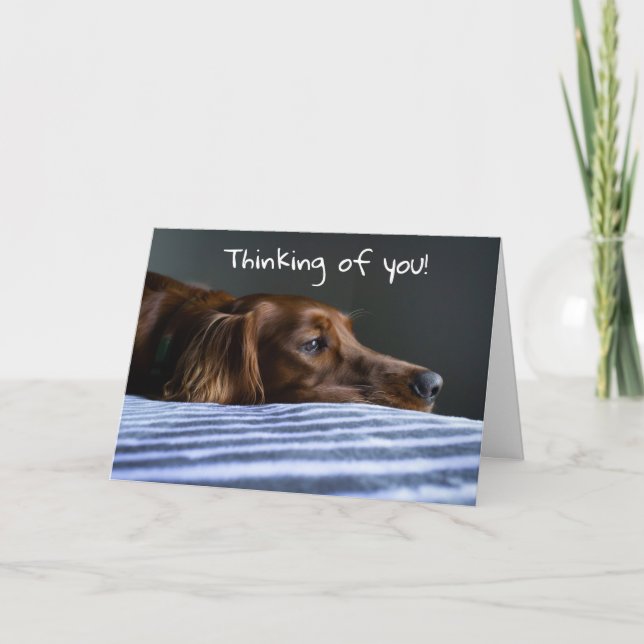 "MERRY CHRISTMAS" VON SWEET PUP FEIERTAGSKARTE (Vorderseite)