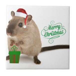 Merry Christmouse Fliese