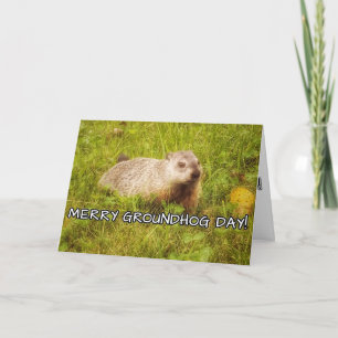 Merry Groundhog Day Grußkarte Karte