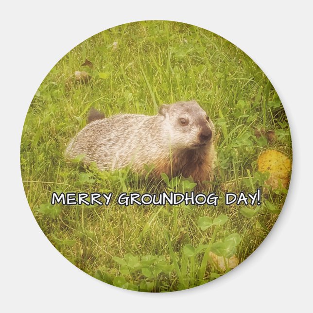 Merry Groundhog Day Magnet (Vorne)