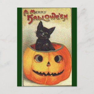 Merry halloween postkarte