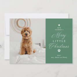 Merry Litte Christmas Pet Foto Flat Holiday Card Feiertagskarte