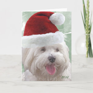 Merry Maltese Christmas Greeting Card Feiertagskarte