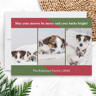 Merry Meows Funny Dog Cat Foto Weihnachten