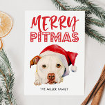 Merry Pitmas | Funny Santa Pit Bull Dog Feiertagskarte<br><div class="desc">Schöne Aquarellbilder eines weißen,  amerikanischen Grubenbull-Terrier-Hundes mit roter Weihnachtsmannmütze. Es steht "Fröhliche Pitmas" über dem Hund. Die Rückseite der Karte weist ein kariertes rotes und weißes Muster auf. Perfekte Karte für Grubenliebhaber und Besitzer,  damit sie ihre Haustiere in den Urlaub einbinden können!</div>