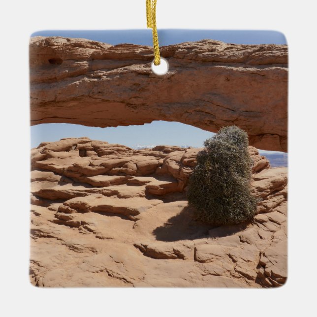 Mesa Arch and Tumbleweed in Canyonlands Keramikornament (Vorderseite)