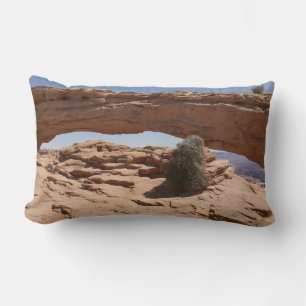 Mesa Arch und Tumbleweed im Canyonlands Lendenkissen
