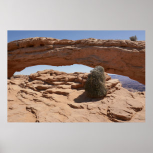 Mesa Arch und Tumbleweed im Canyonlands Poster
