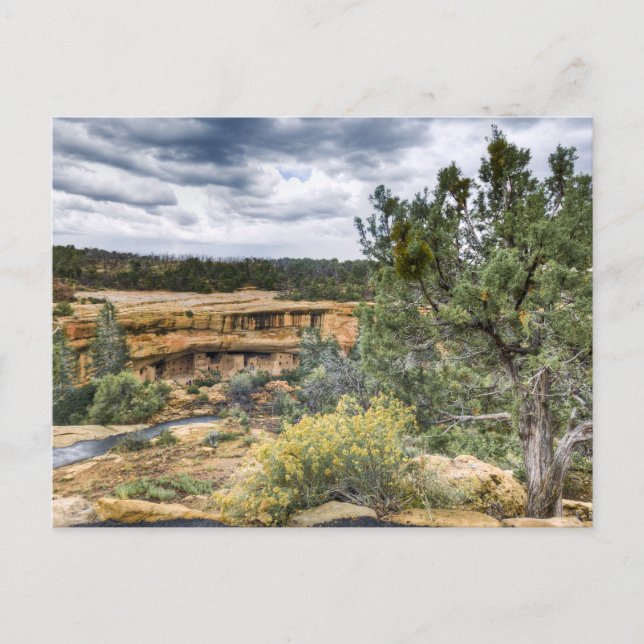 Mesa Verde Cliff Dwellings Postkarte (Vorderseite)
