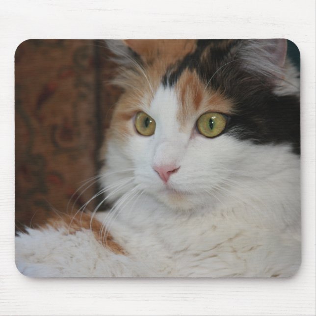 Mesmerisierte Felin Mousepad (Vorne)