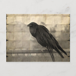 Messenger (Vintag) Postkarte