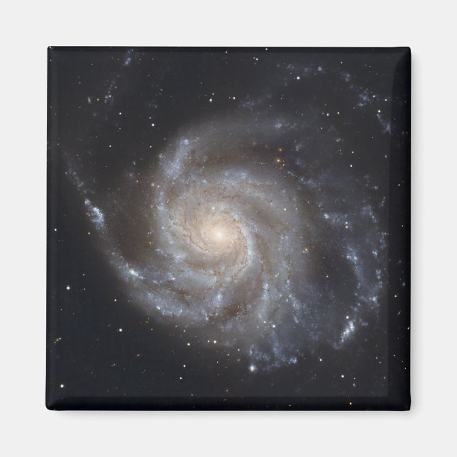 Messier 101, Pinwheel Galaxy Magnet (Vorne)