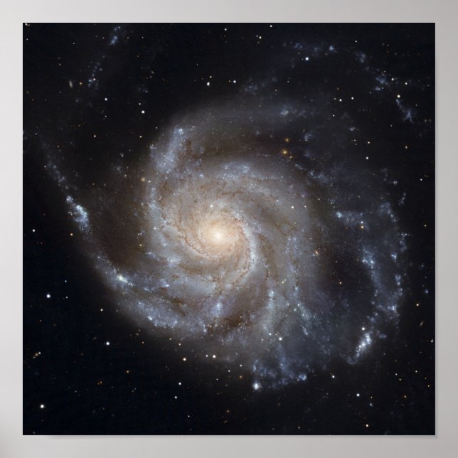 Messier 101, Pinwheel Galaxy Poster (Vorne)