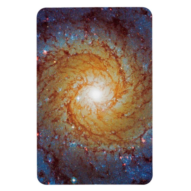 Messier 74 Spiral Galaxy Weltraumbahnhof Foto Magnet (Vertikal)