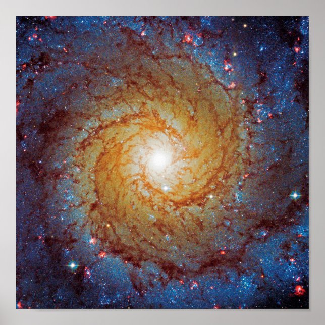 Messier 74 Spiral Galaxy Weltraumbahnhof Foto Poster (Vorne)