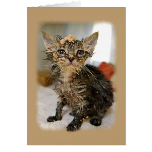 Messy Kitten Card (Vorne)