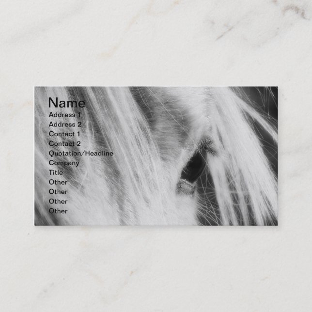 Messy Mane Day Black and White Visitenkarte (Vorderseite)