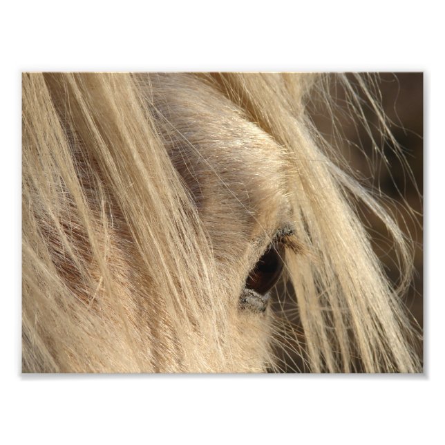 Messy Mane Day Fotodruck (Vorne)