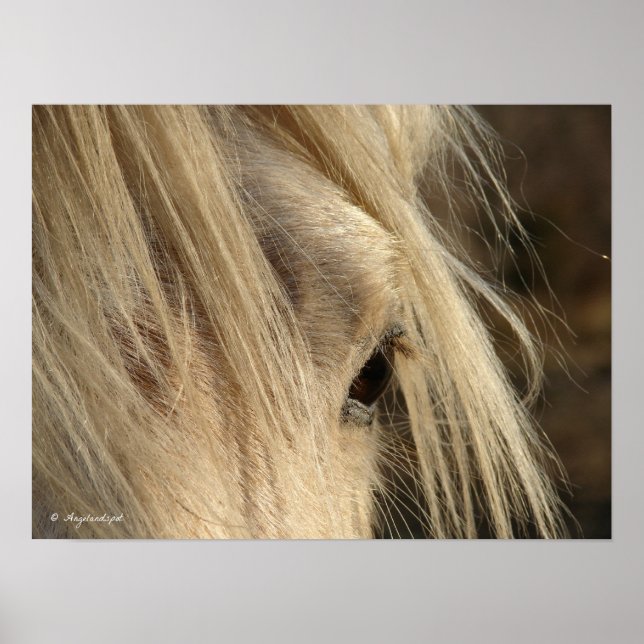 Messy Mane Poster (Vorne)