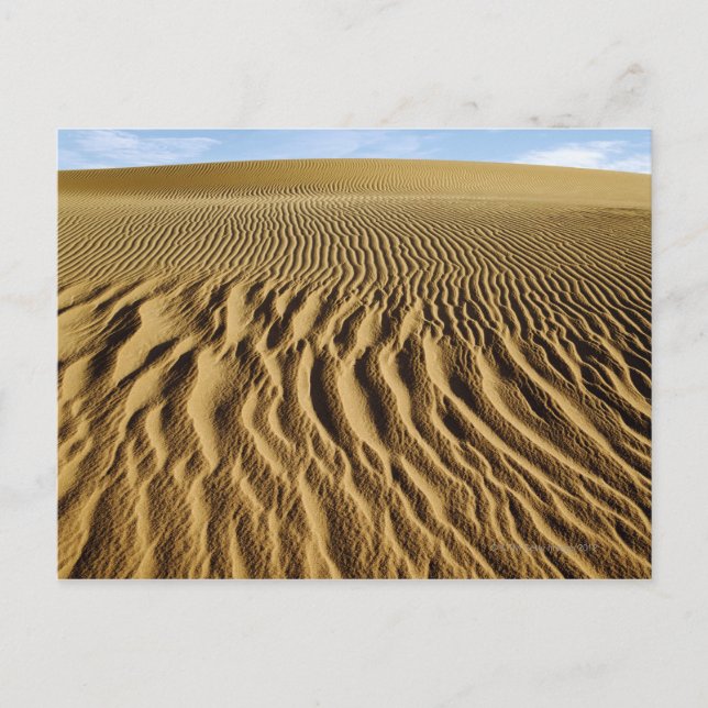 Mesziemlich Dunes, Death Valley National Park, Postkarte (Vorderseite)