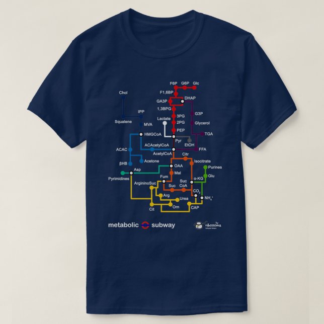 Metabolische U-Bahn 2 T-Shirt (Design vorne)