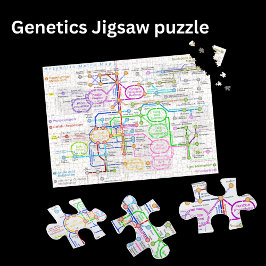 Metabolische Wegskarte Puzzle