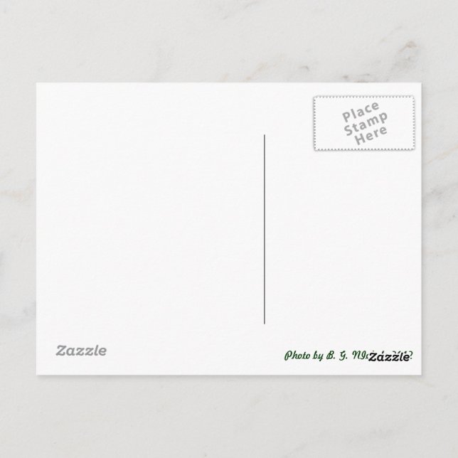 Metal Dragonfly Postkarte (Rückseite)