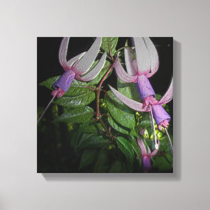 Metallische Fuchsienblüten - Digitale Verbesserung Leinwanddruck