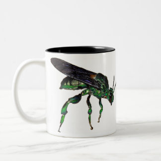Metallische grüne Biene Amazonas Zweifarbige Tasse