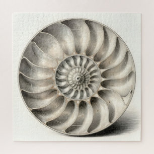 Metallische Nautilus-Schnecken-Spiral-Geometrie  Puzzle