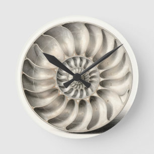 Metallische Nautilus-Schnecken-Spiral-Geometrie Runde Wanduhr