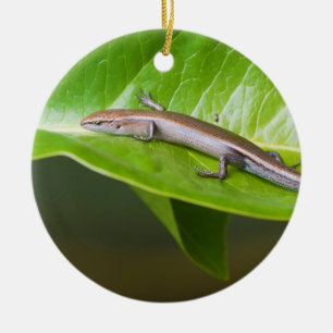 Metallisches cooles Skink Niveoscincus Metallicus Keramik Ornament